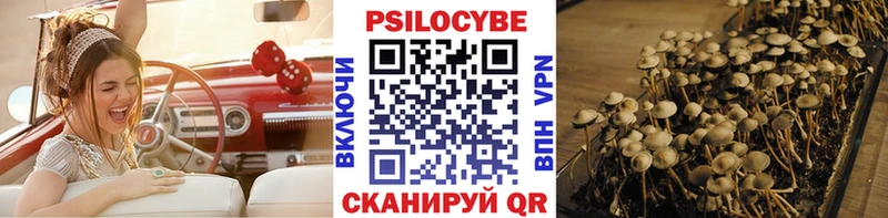 Галлюциногенные грибы прущие грибы  Купить где  Елец 